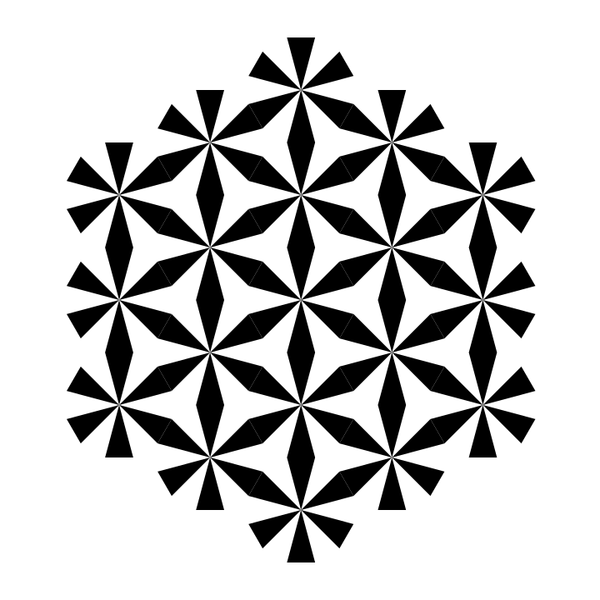 hexagonal star of zebra dodecagon