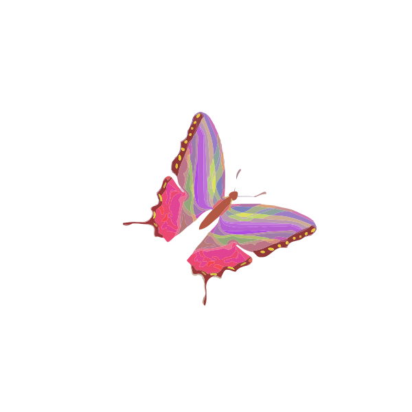 Rainbow butterfly | Free SVG