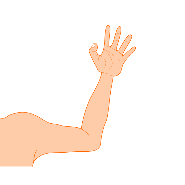 Vector Drawing Of Lady Arm Bent At Elbow Free Svg