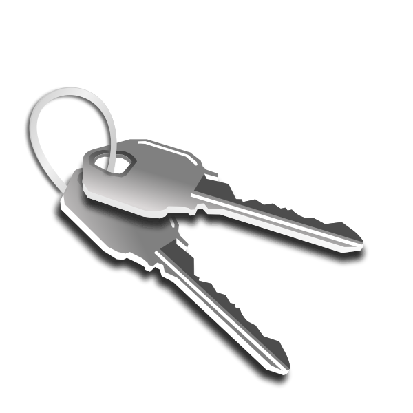 Two keys on a keychain vector graphics