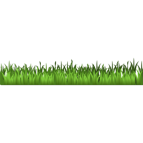 Green grass image