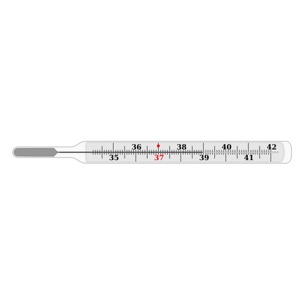 Vector drawing of traditional thermometer