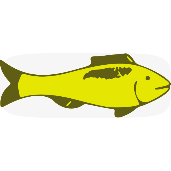 Green fish vector image