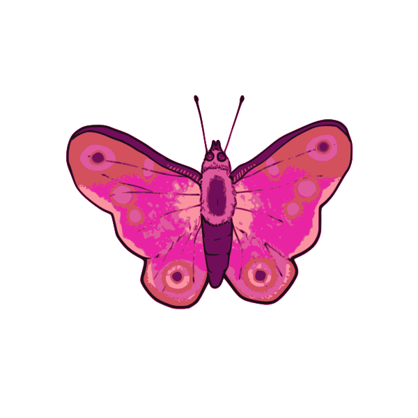 Download Vector Illustration Of Pink And Purple Butterfly Free Svg