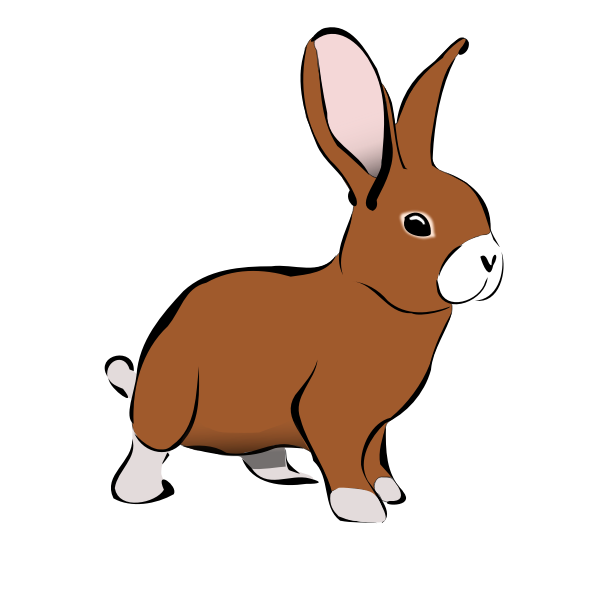 Brown Rabbit