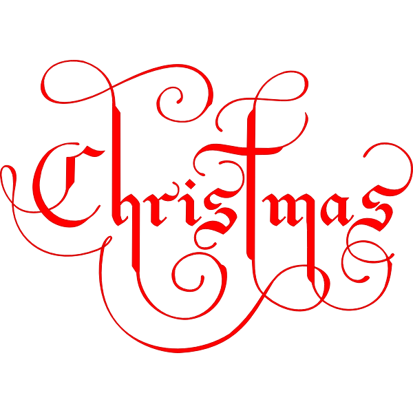 Christmas text vector image