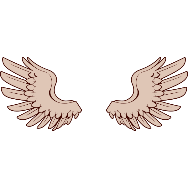 Vector image of bird wings