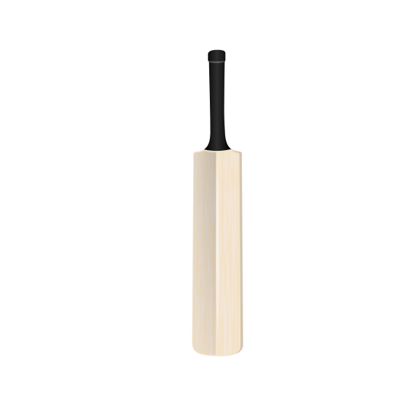 Cricket bat vector image