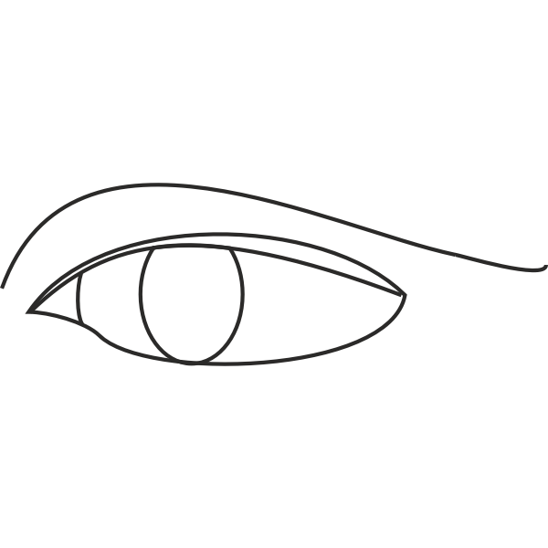 Eye line drawing