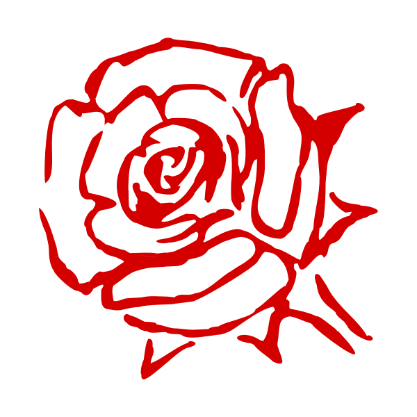 Red Rose Speed Drawing  A quick drawing just in time for Valentines Day    By Gemma Chambers Art  Facebook