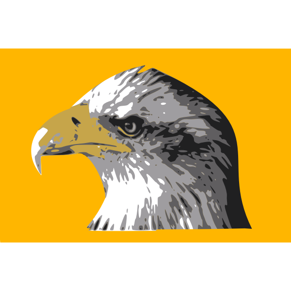 Head of a bald eagle vector drawing