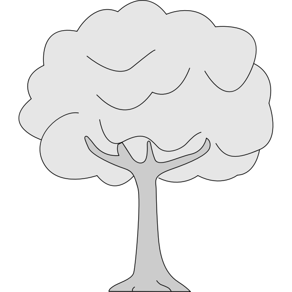 Drawing of thin trunk tree