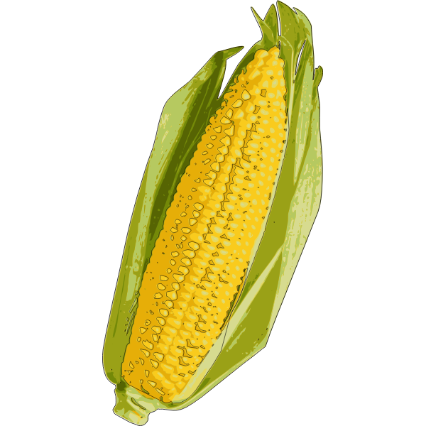 Corn cob image | Free SVG