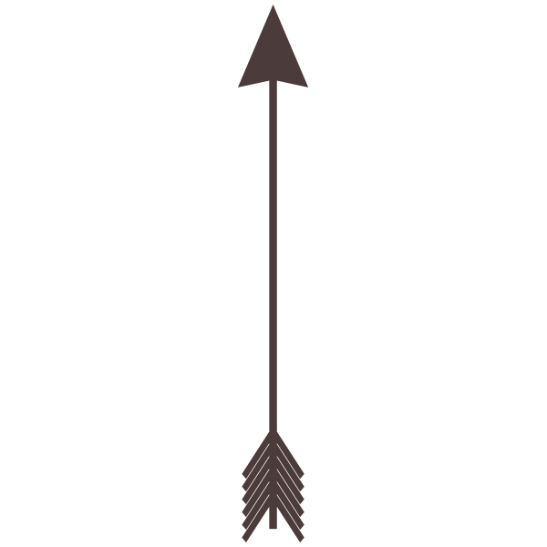 Gray arrow vector image