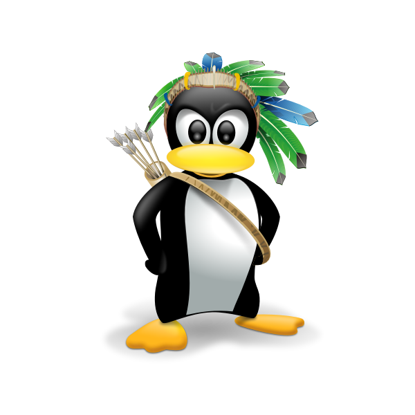 Indian penguin vector image