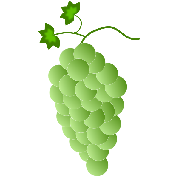 Green-white grapes
