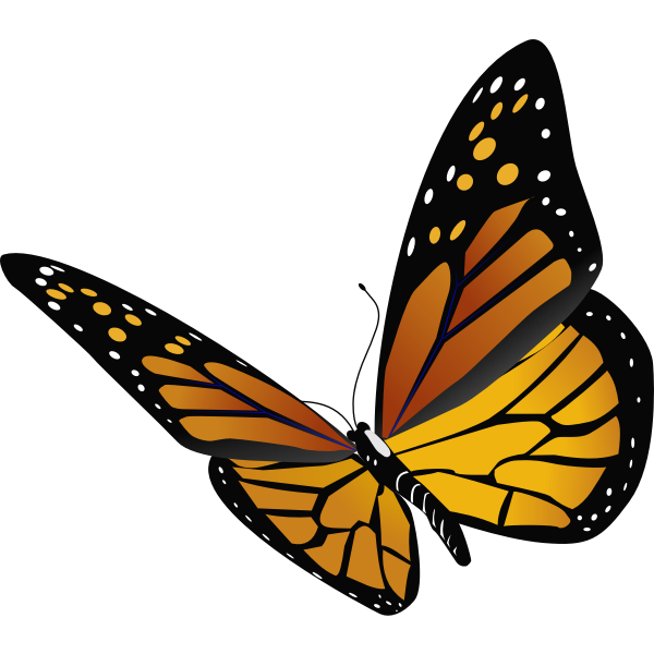 butterfly | Free SVG