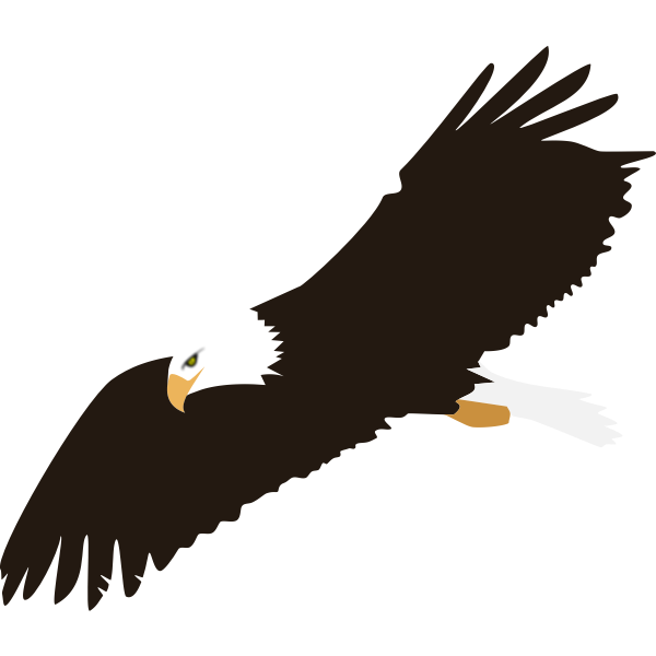 Soaring eagle | Free SVG