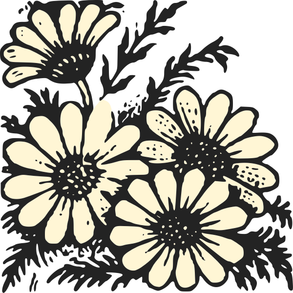 daisies | Free SVG