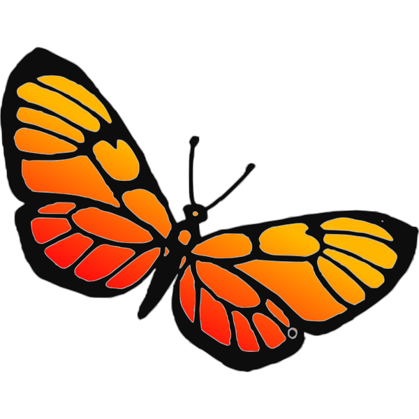 Orange butterfly-1628922115