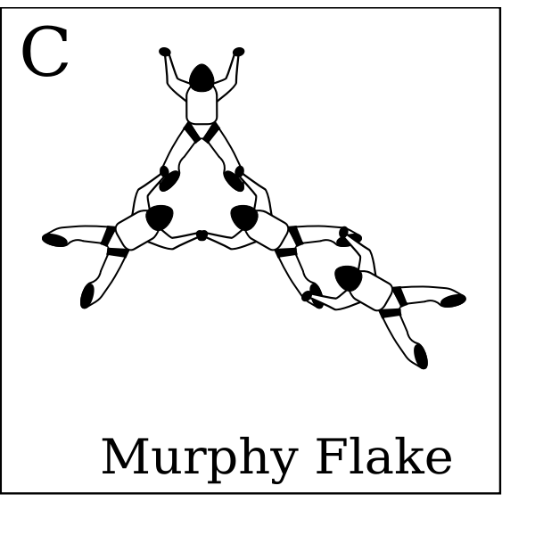 Murphy Flake card