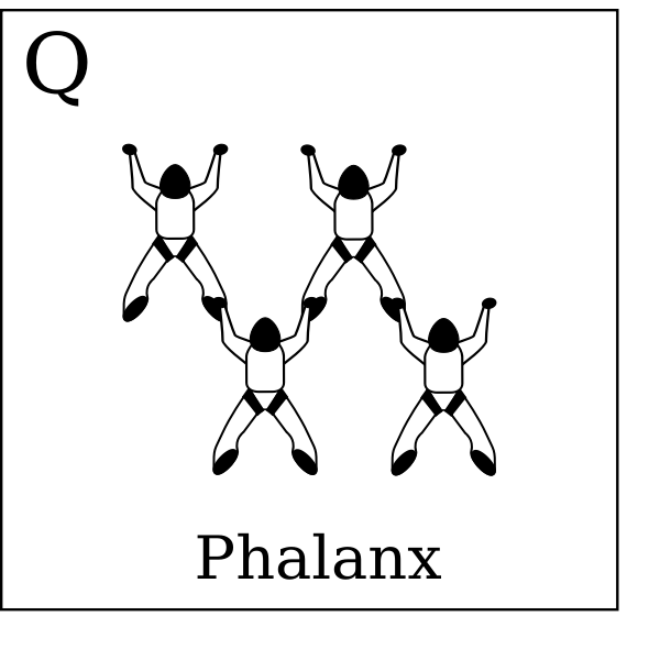 Figure Q Phalanx Vol Relatif A 4 Formation Skydiving 4 Way Free Svg