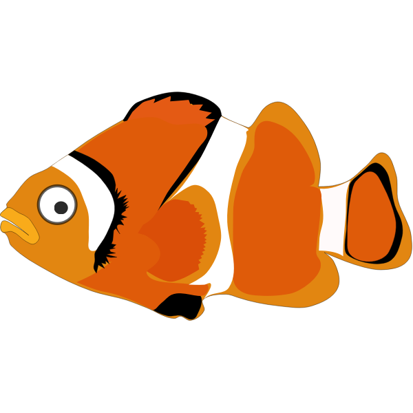 Colorful goldfish | Free SVG