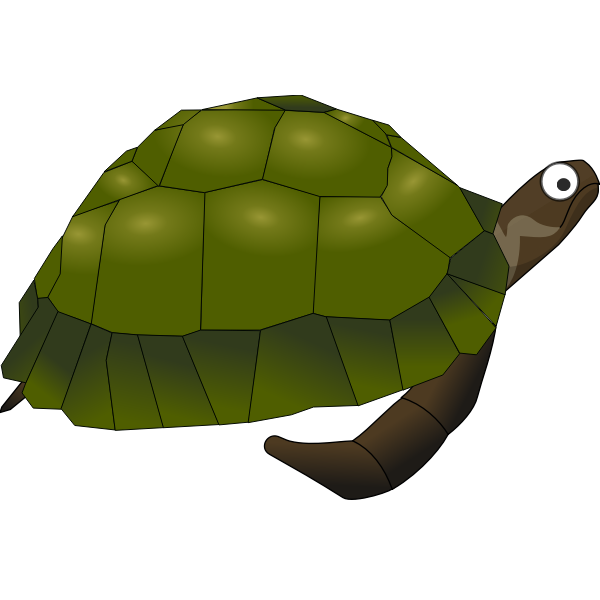 Green cartoon turtle