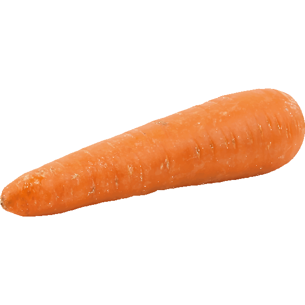 Carrot symbol
