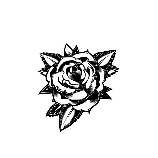Black and white blossomed rose