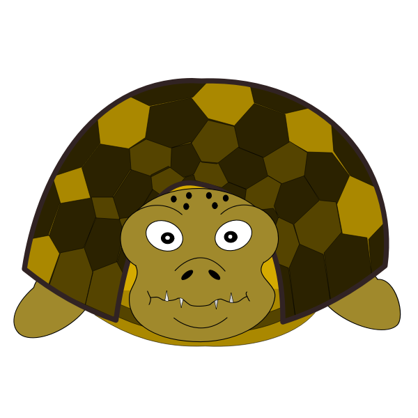 Turtle front