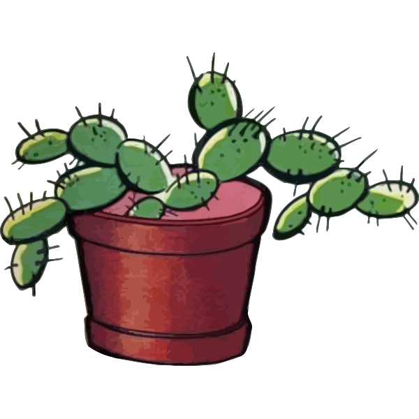 Cactus image