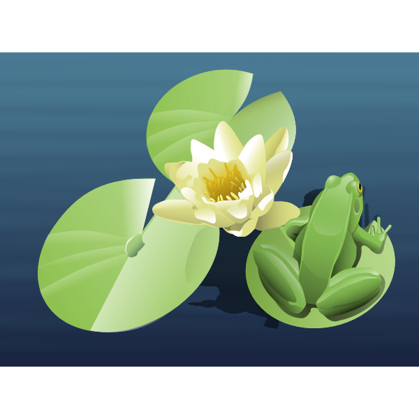 frog on a lily pad (animated)