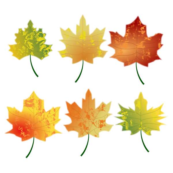 Download Autumn Leaves | Free SVG