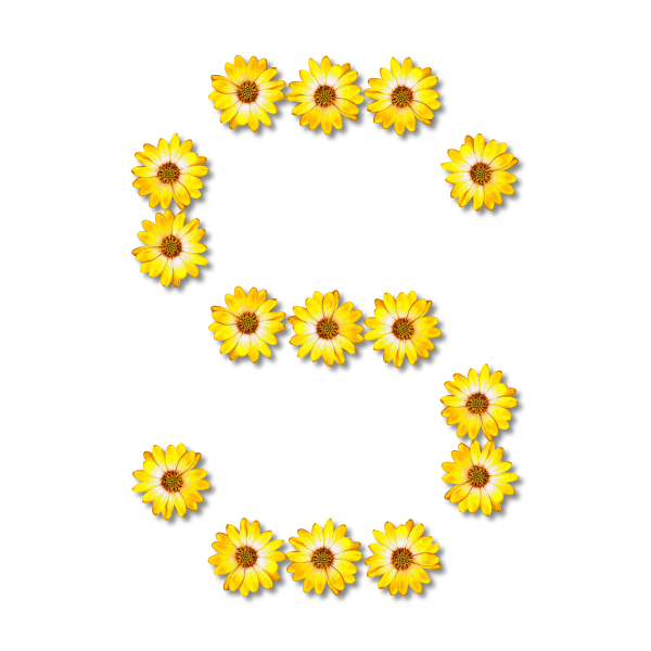 S made of flowers