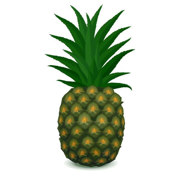 Green pineapple vector image