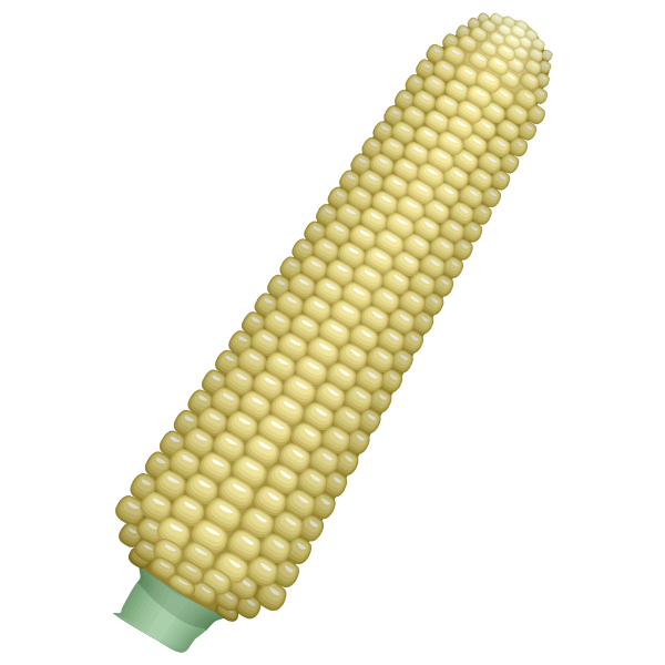 Download Corn Cob Free Svg