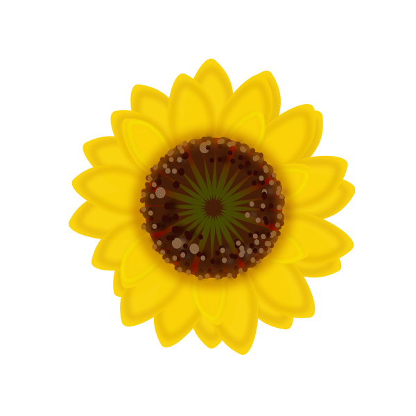 Free Free 334 Sunflower Pot Leaf Svg SVG PNG EPS DXF File