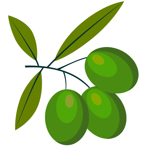 Green olive fruit