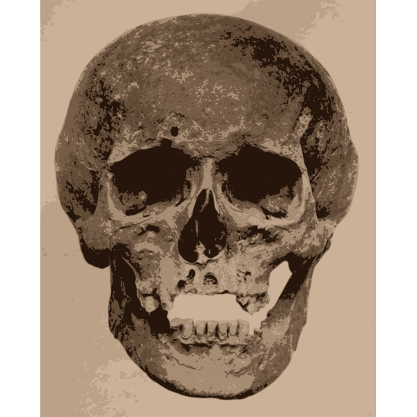 Human skull-1626994830