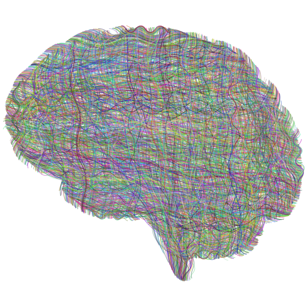 Dense Neural Brain Prismatic