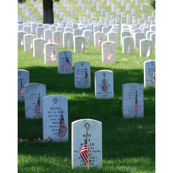 Graves At Arlington On Memorial Day