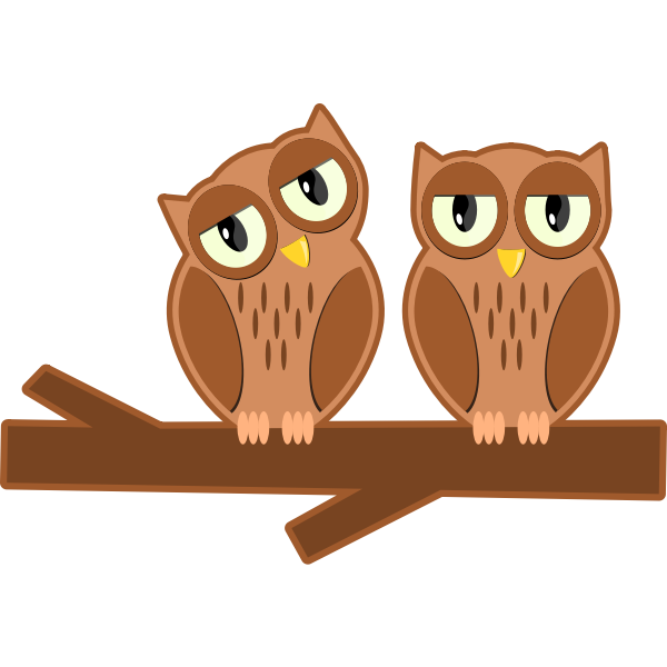 Owls on a branch