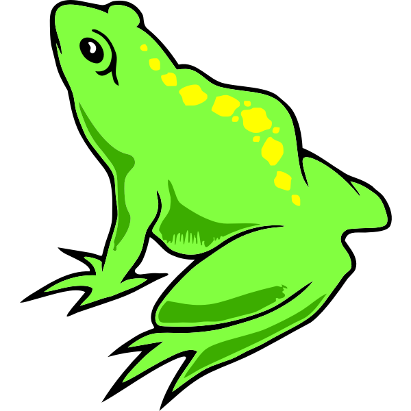 Green frog-1631205652