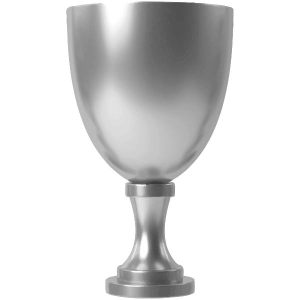 Silver cup 4