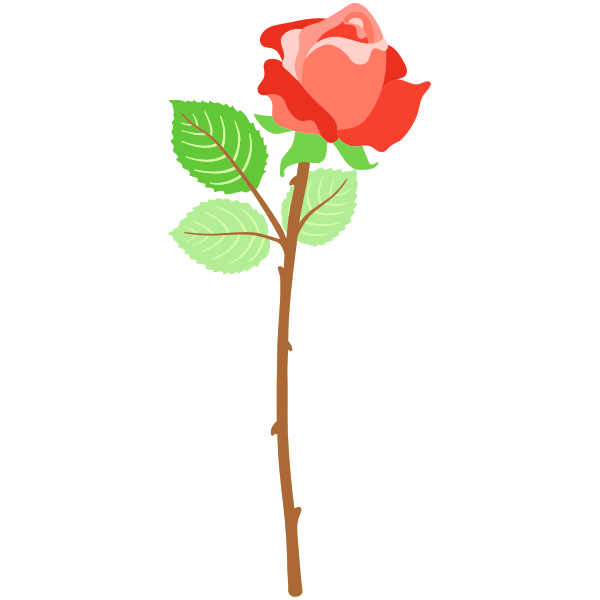 Red rose with thorns