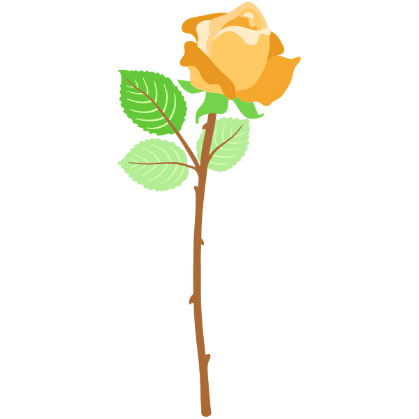 Yellow rose with thorns
