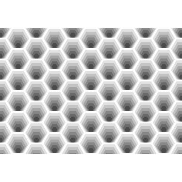 Hexagonal pattern vector image