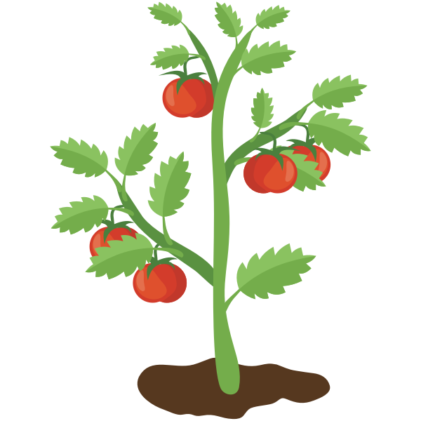 Tomato Plant | Free SVG
