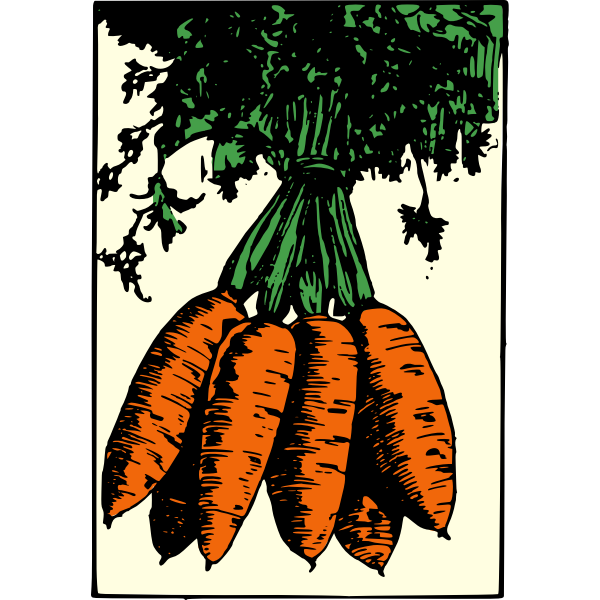 Bunch of Carrots - Colour